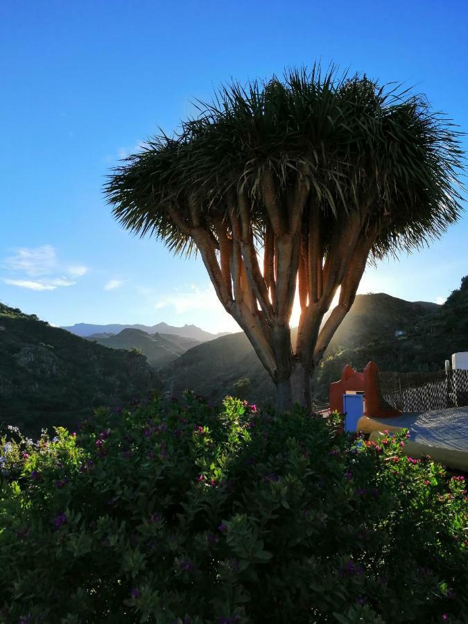 Vivelorural Casa La Cuevita, Santa Brigida ภายนอก รูปภาพ