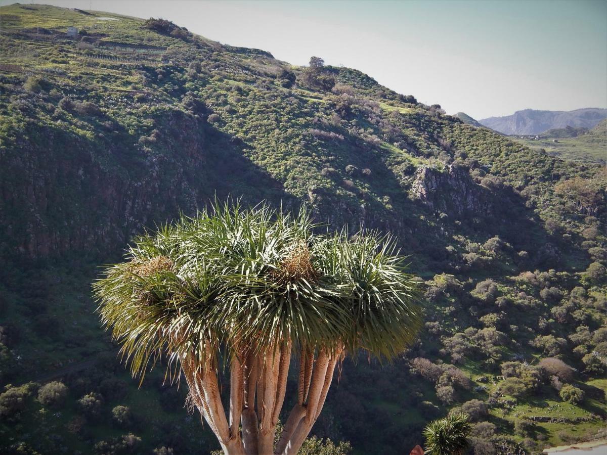 Vivelorural Casa La Cuevita, Santa Brigida ภายนอก รูปภาพ